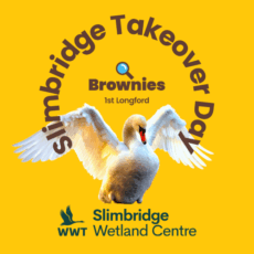 Slimbridge Trip