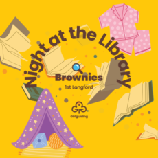 Night at the Library